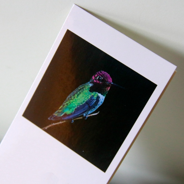 Color Boxes (2)