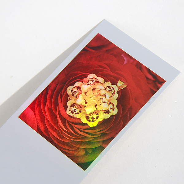 Four-Color-Printing-And-Varnishing-01