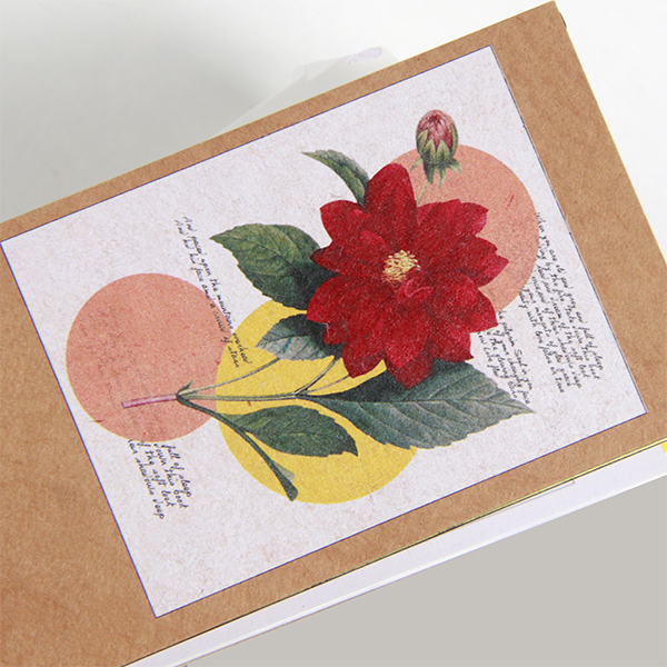 White-And-Four-Color-Printing-01